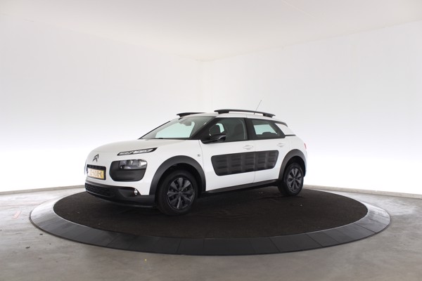 C4 Cactus